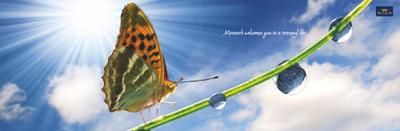 Ansal Sushant Golf City Brochure 8