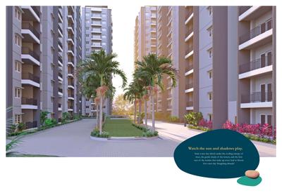 EIPL Cornerstone Brochure 11