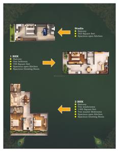 Maple Springs Brochure 6