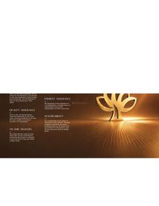 Vida Stellaris Brochure 14