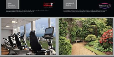 Team Deja Vu Brochure 8