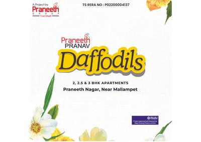 Praneeth Pranav Daffodils Brochure 1