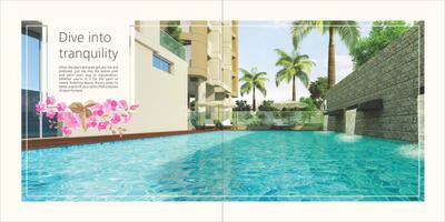Oxy Flora Brochure 11