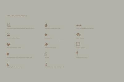 ACE Divino Brochure 24
