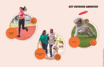 Geras Joy On The Treetops Brochure 38