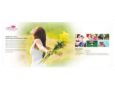 Pyramid Carnations Brochure 5