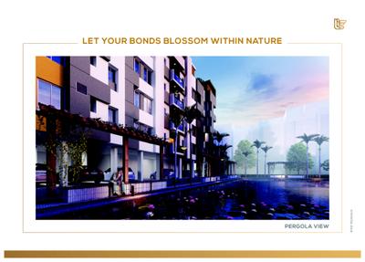 Adonis Life Brochure 7