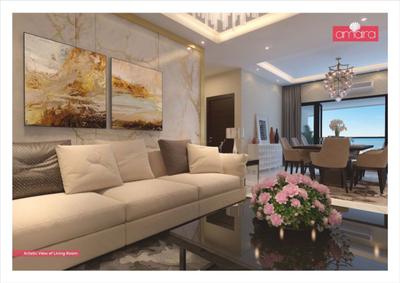 Amaira Brochure 19