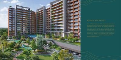 Pristine Kyra Brochure 7