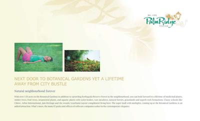 CPR Palm Ridge Brochure 3