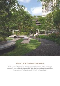 Alembic Cloud Forest Brochure 4
