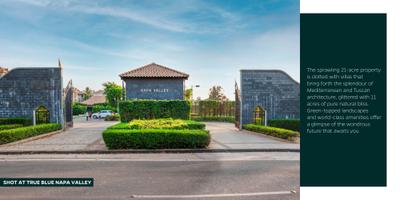 True Blue Napa Valley Brochure 6
