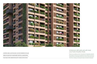 Between The Trees Brochure 5