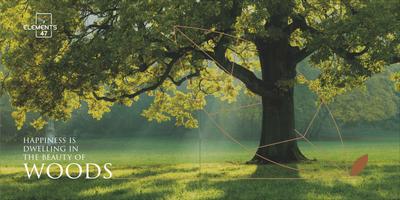 Elements 47 Brochure 6