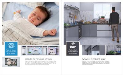 E11 Evolve Brochure 3