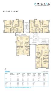 Amistad Brochure 10
