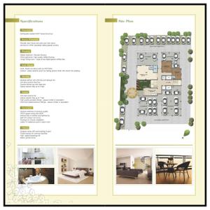 Siddha Basil Brochure 6