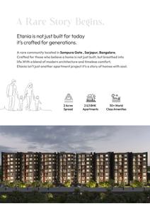 Binary Etania Brochure 3