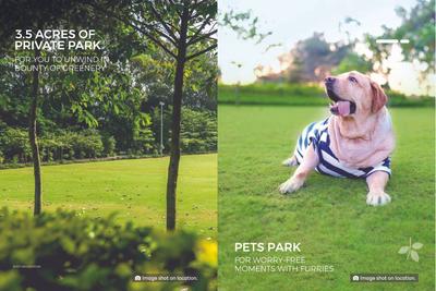 Treeland Brochure 8