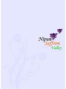 Image of 1444 Sq.ft 3 BHK Apartment / Flat for sale in Nipun Saffron Valley, Janakpuri, Ghaziabad for Rs. 10000000
