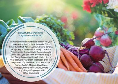 Pushpam Lush County Brochure 8