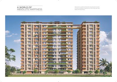 Strut Arcadia 77 Brochure 5