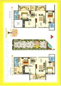 Sun Shine Orange Tree Brochure 18