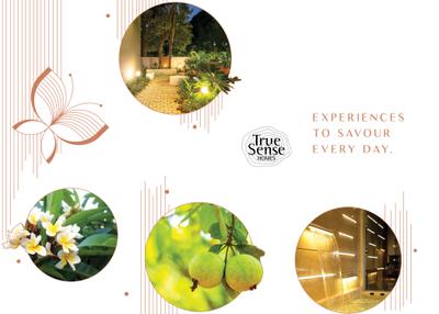 Image of 1150 Sq.ft 2 BHK Apartment / Flat for sale in Pandit Nandvihar, Shivaji Nagar, Pune for Rs. 18000000