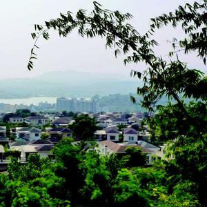 Image of 699 Sq.ft 1 BHK Apartment / Flat for sale in Paranjape Forest Trails Everglades H3 And H4, Pirangut, Pune for Rs. 4300000