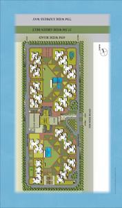 The 3C Lotus Zing Brochure 12
