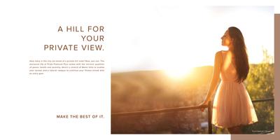Pride Platinum Brochure 7