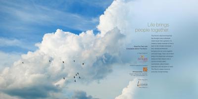 Mega The Perch Brochure 12