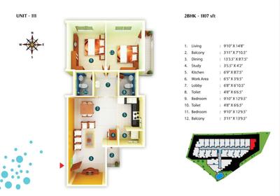 Asset Placid Brochure 14
