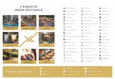 Basil Maximus Brochure 8