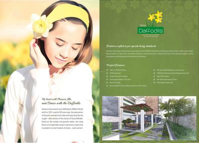 Saroj Daffodils Brochure 3