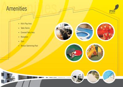 PSS Pinnacle Brochure 4