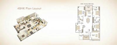 Belief Augustus Brochure 31