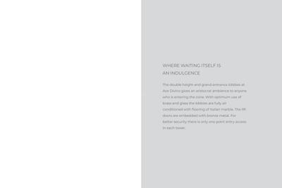 ACE Divino Brochure 44