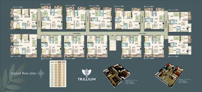 SJ Trillium Brochure 5