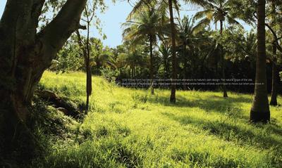 Value Willow Farm Brochure 4