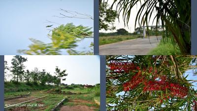 Highlands Brochure 5
