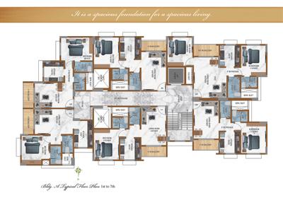 Amber Elite Brochure 4
