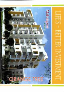 Sun Shine Orange Tree Brochure 8