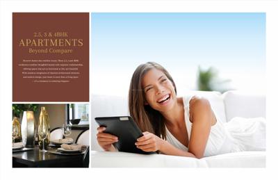 BP DPS Palladio Brochure 12