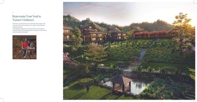The Kasul Brochure 11