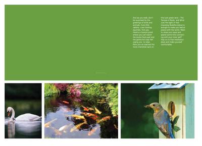 Purva Symphony Brochure 13