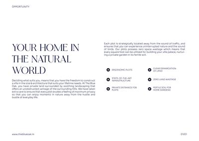 The Blue Oak Brochure 15