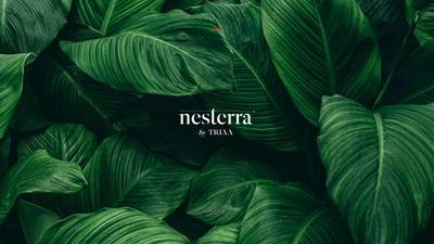 Nesterra Brochure 1