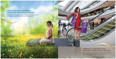 Brochure Images