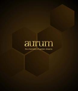 Image of 650 Sq.ft 1 BHK Apartment / Flat for sale in Kabra Aurum Wing A B C AND D of Unnat Nagar II, Goregaon West, Mumbai for Rs. 14000000